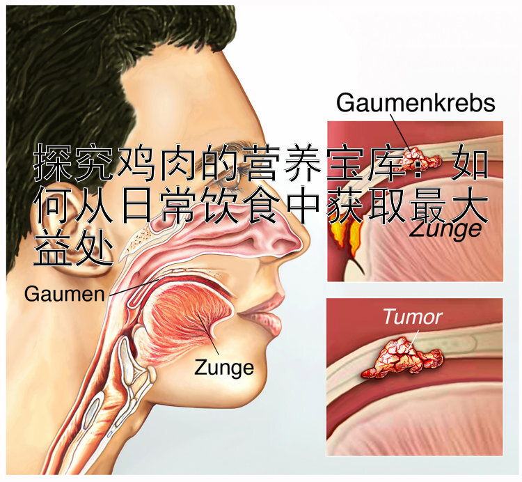 探究鸡肉的营养宝库：如何从日常饮食中获取最大益处