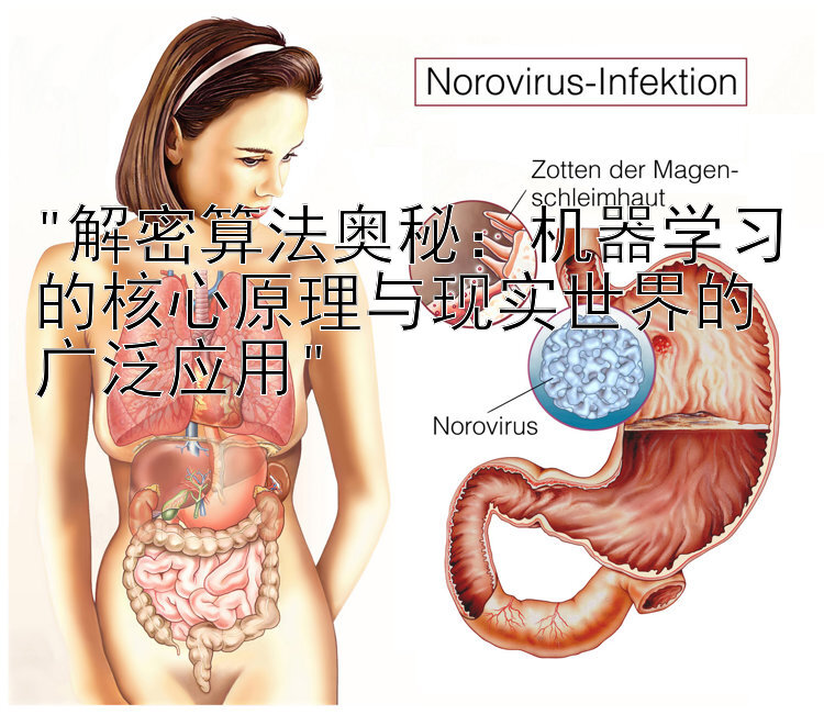 解密算法奥秘：机器学习的核心原理与现实世界的广泛应用