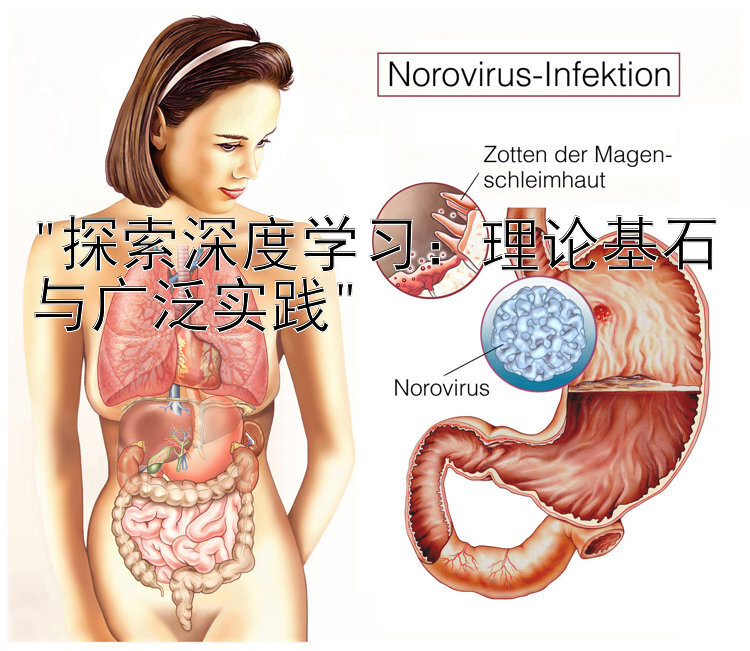 探索深度学习：理论基石与广泛实践