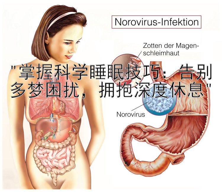 掌握科学睡眠技巧：告别多梦困扰，拥抱深度休息