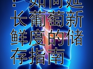 保鲜秘诀：如何延长葡萄新鲜度的储存指南