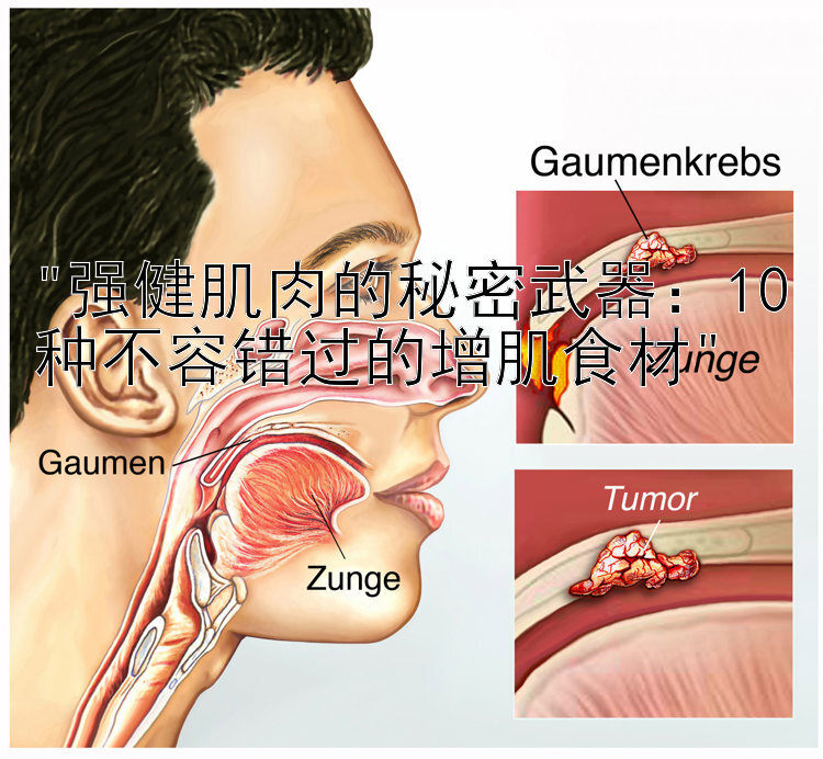 强健肌肉的秘密武器：10种不容错过的增肌食材