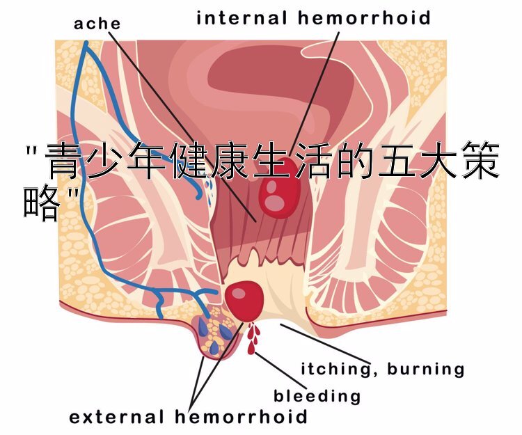 青少年健康生活的五大策略