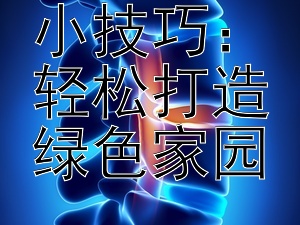 节水节电小技巧：轻松打造绿色家园