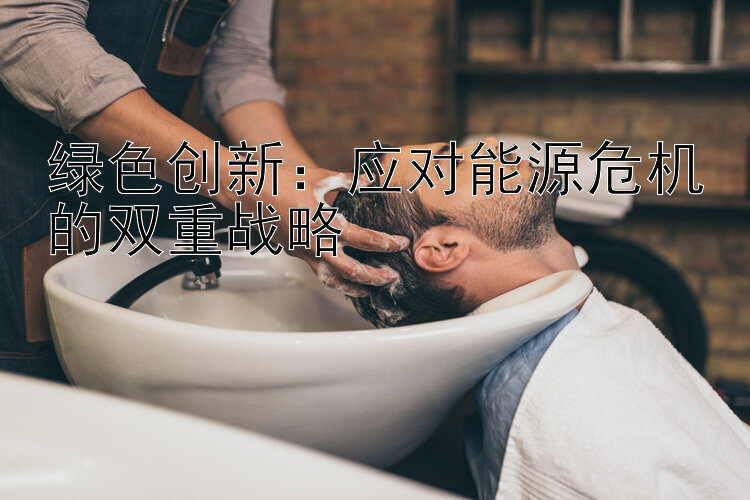 绿色创新：应对能源危机的双重战略