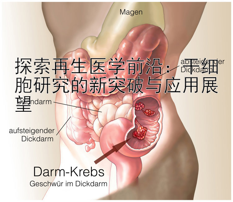 探索再生医学前沿：干细胞研究的新突破与应用展望