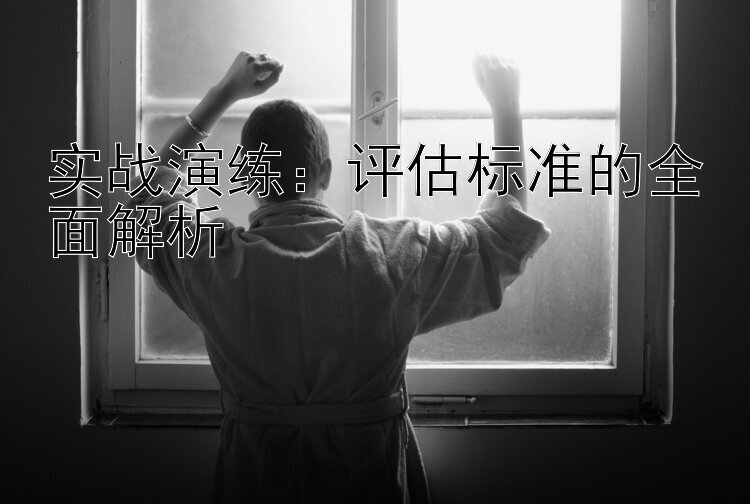 实战演练：评估标准的全面解析