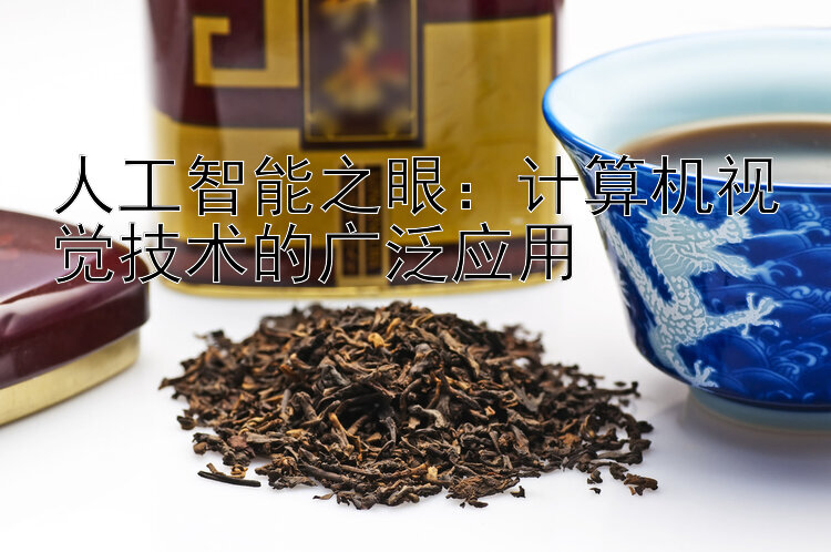 人工智能之眼：计算机视觉技术的广泛应用