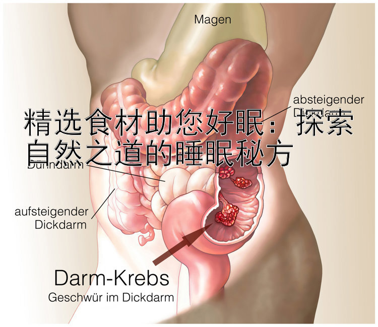 精选食材助您好眠：探索自然之道的睡眠秘方