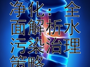 创新科技助力水体净化：全面解析水污染治理策略