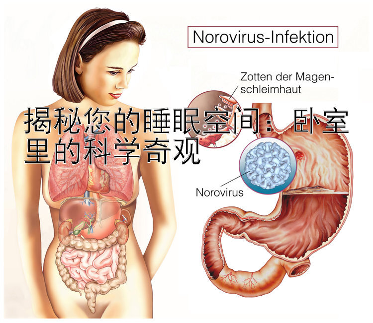 揭秘您的睡眠空间：卧室里的科学奇观