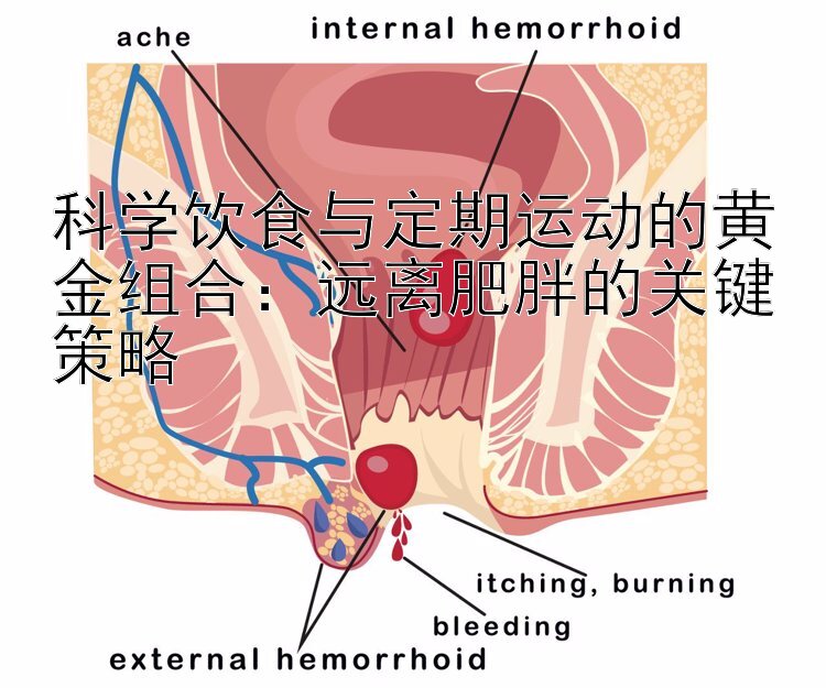 科学饮食与定期运动的黄金组合：远离肥胖的关键策略