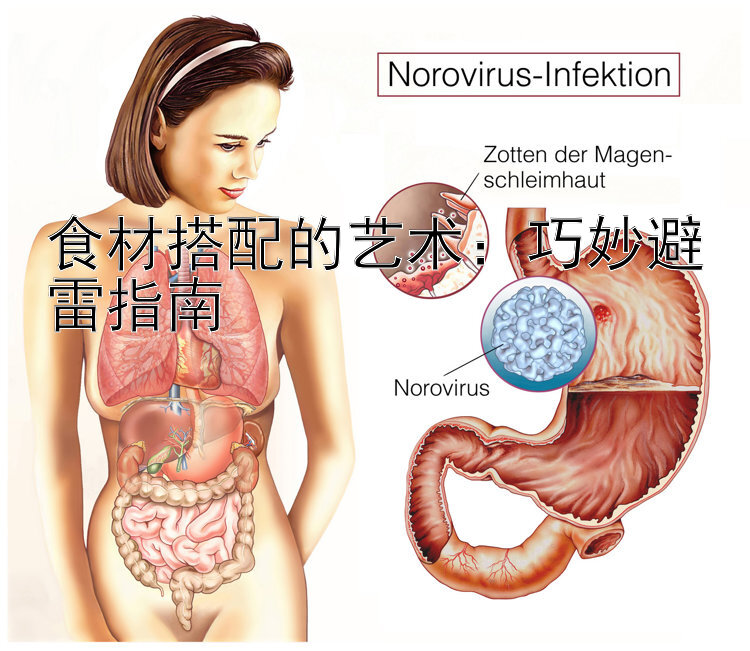 食材搭配的艺术：巧妙避雷指南