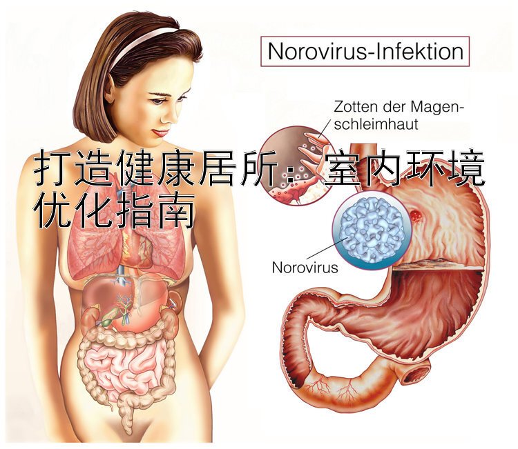 打造健康居所：室内环境优化指南