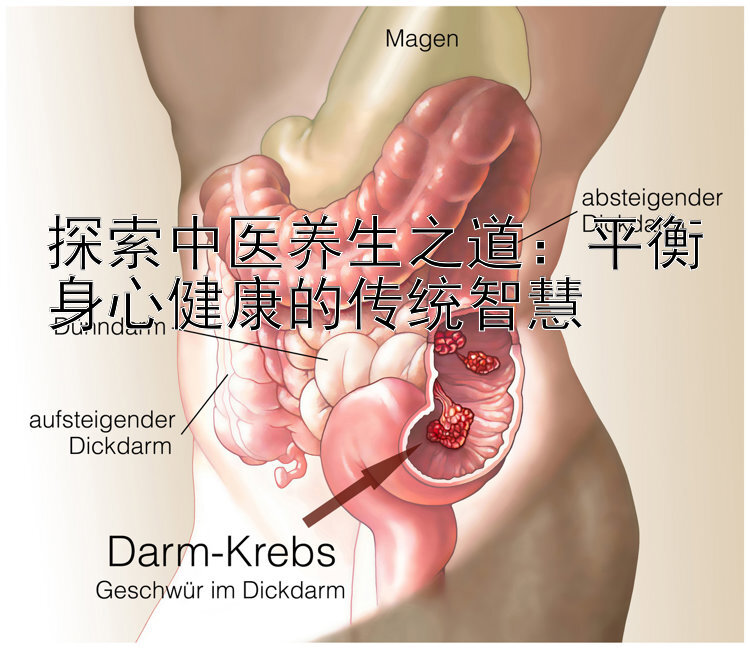 探索中医养生之道：平衡身心健康的传统智慧