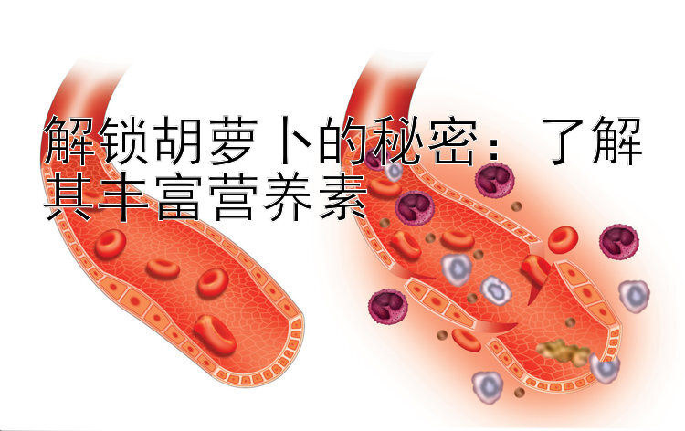 解锁胡萝卜的秘密：了解其丰富营养素