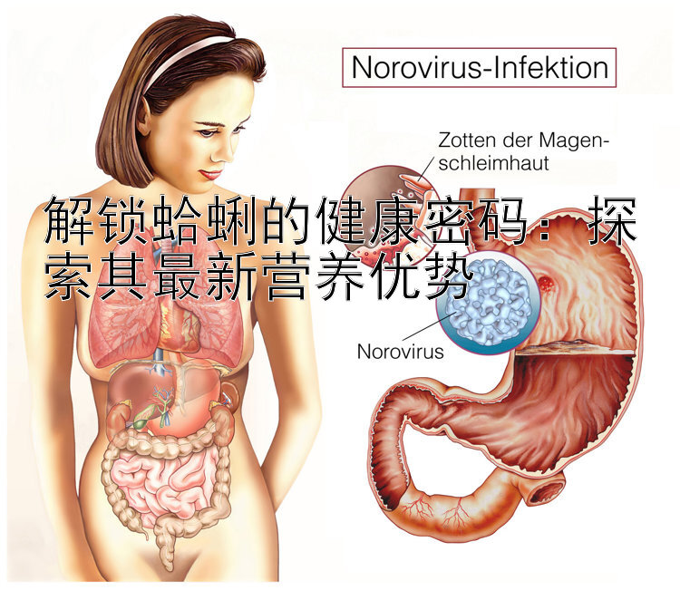 解锁蛤蜊的健康密码：探索其最新营养优势