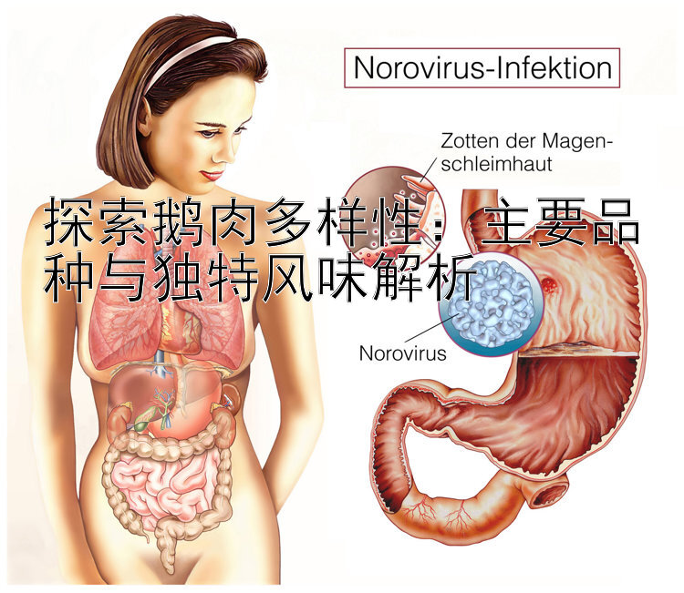 探索鹅肉多样性：主要品种与独特风味解析