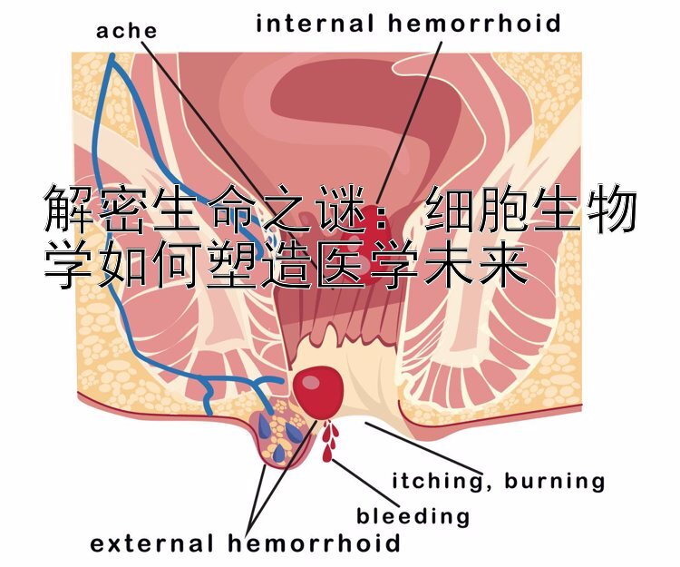 解密生命之谜：细胞生物学如何塑造医学未来