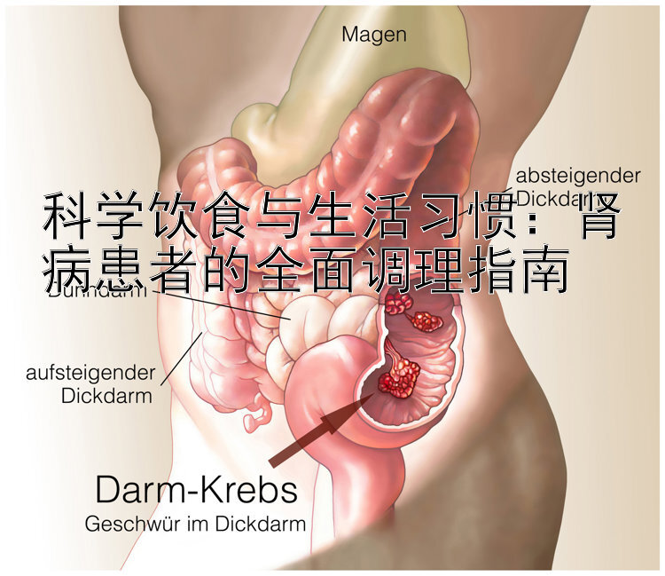 科学饮食与生活习惯：肾病患者的全面调理指南