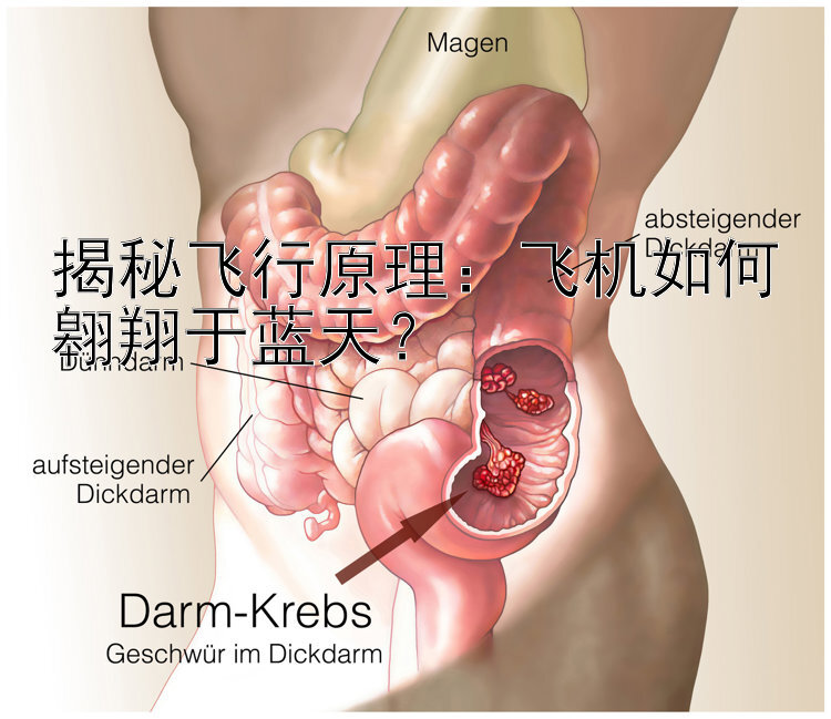 揭秘飞行原理：飞机如何翱翔于蓝天？