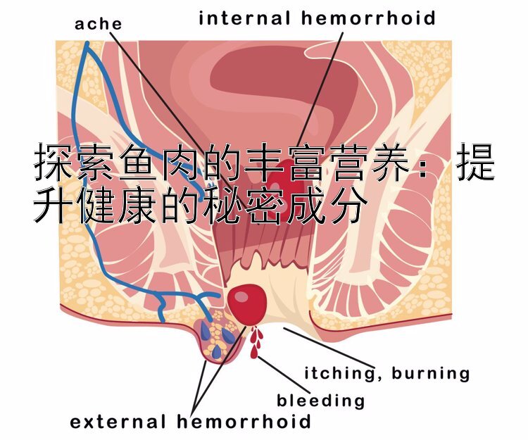 探索鱼肉的丰富营养：提升健康的秘密成分