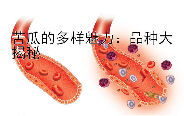 苦瓜的多样魅力：品种大揭秘