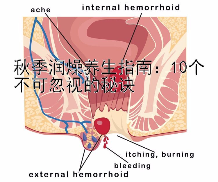 秋季润燥养生指南：10个不可忽视的秘诀