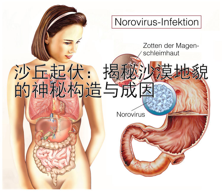 沙丘起伏：揭秘沙漠地貌的神秘构造与成因