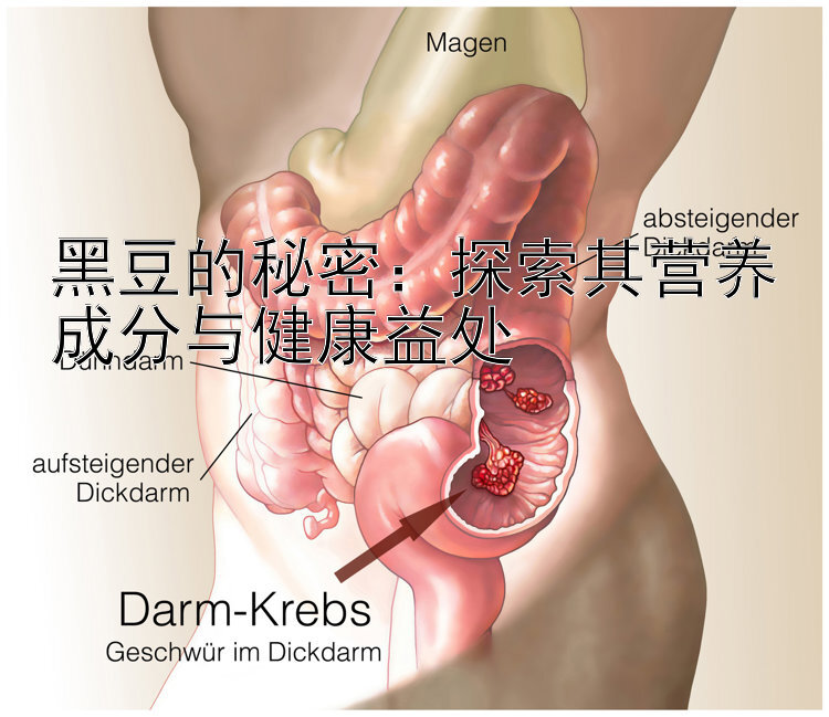 黑豆的秘密：探索其营养成分与健康益处