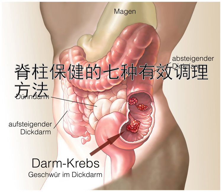 脊柱保健的七种有效调理方法