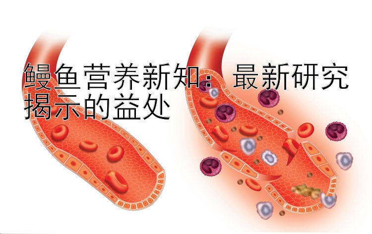 鳗鱼营养新知：最新研究揭示的益处