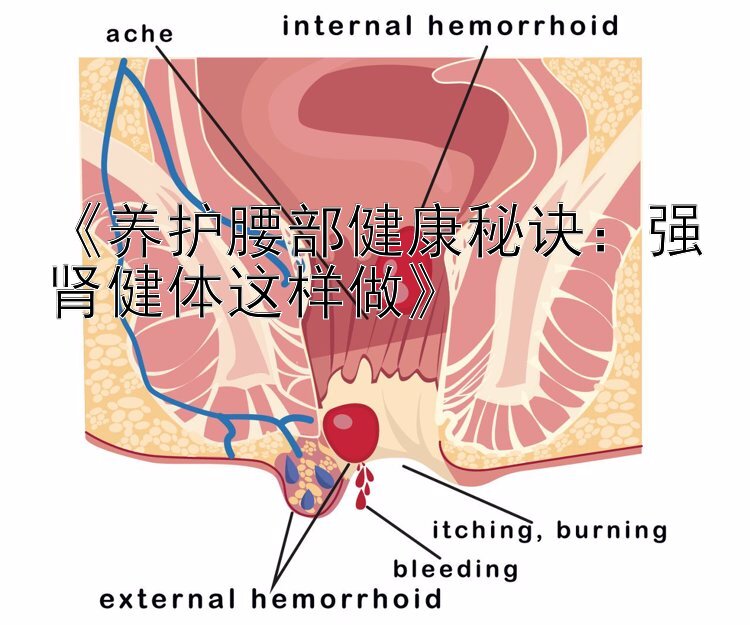 《养护腰部健康秘诀：强肾健体这样做》