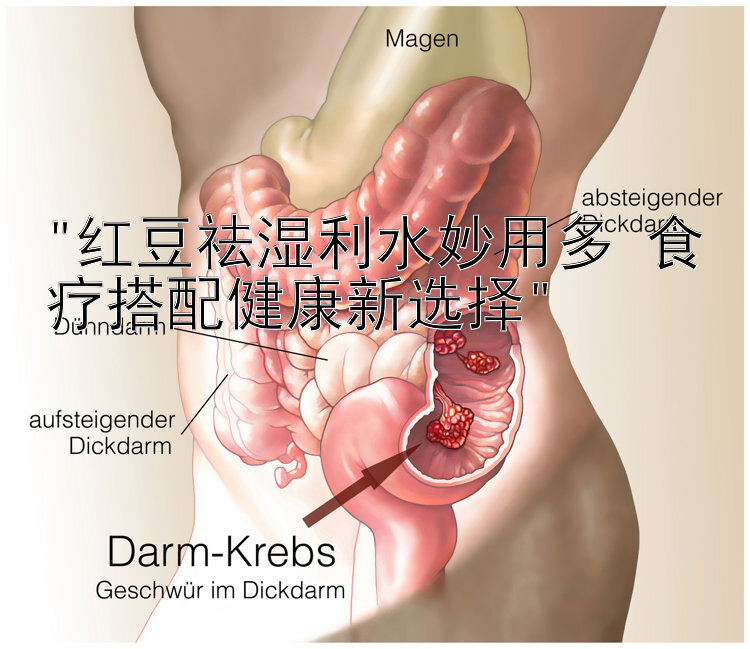 红豆祛湿利水妙用多 食疗搭配健康新选择