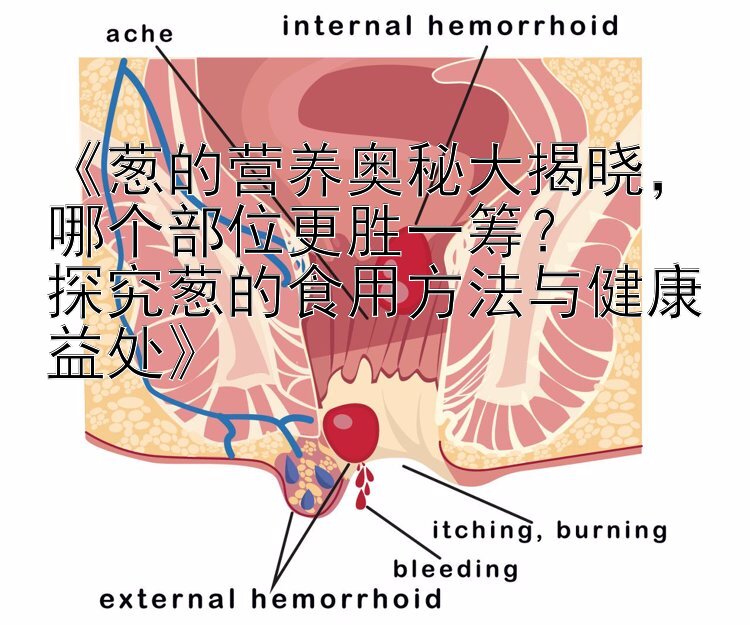 《葱的营养奥秘大揭晓，哪个部位更胜一筹？  
探究葱的食用方法与健康益处》