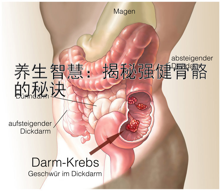 养生智慧：揭秘强健骨骼的秘诀