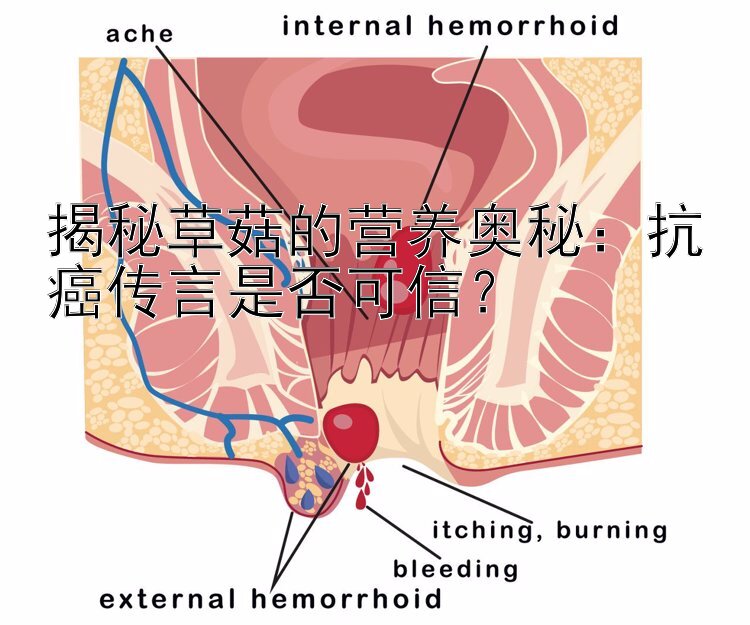 揭秘草菇的营养奥秘：抗癌传言是否可信？