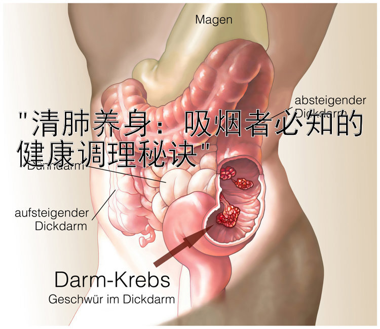 清肺养身：吸烟者必知的健康调理秘诀