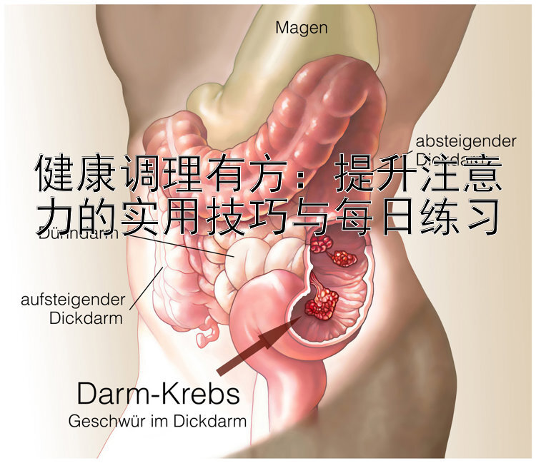 健康调理有方：提升注意力的实用技巧与每日练习