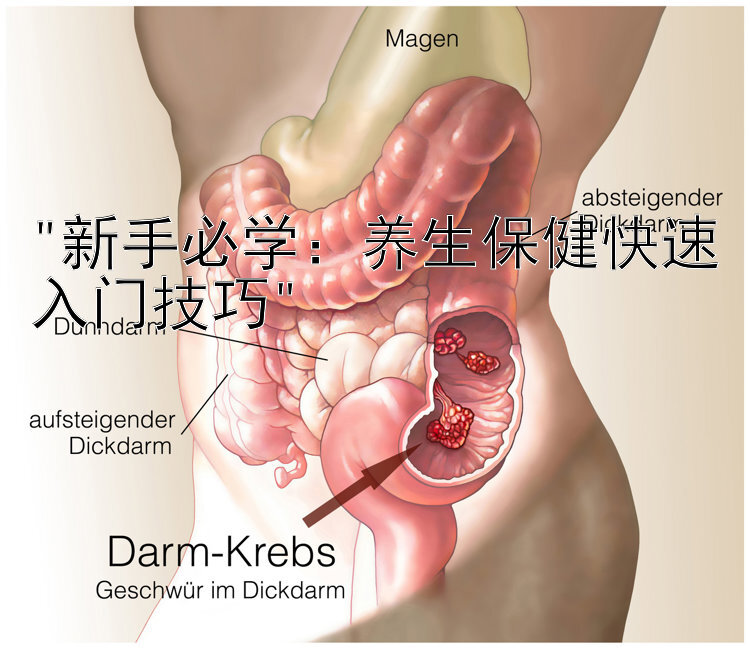 新手必学：养生保健快速入门技巧