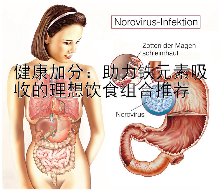 健康加分：助力铁元素吸收的理想饮食组合推荐