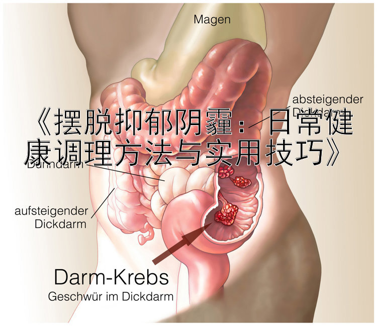 《摆脱抑郁阴霾：日常健康调理方法与实用技巧》